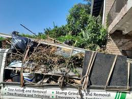 Best Construction Debris Removal  in Asheboro, NC